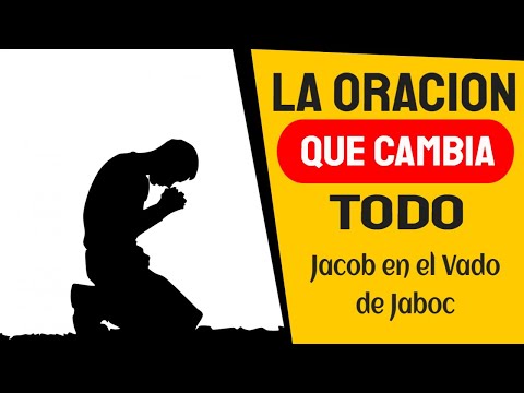 Vídeo: Amigos para sempre: um escocês rastreou um cachorro que correu ao lado dele em uma maratona pelo deserto de Gobi