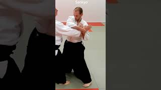 Aikido in slow motion: Counter techniques, KAESHIWAZA, on SANKYO, by Stefan Stenudd