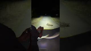 Ibez xt2 lampu utama led h4 cahaya biled blue lens