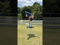 ロングは来週からあがります!!ネタ切れなのでよければリクエストとか貰えたら助かります🥹🩷 #handstandworkout #acrobatics #rickmethod #倒立
