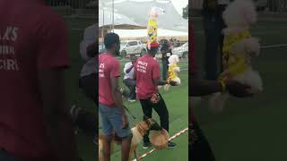 Incredible display by Dog trainer at dog show #bichonfrise #dog #shorts #ghdogtv