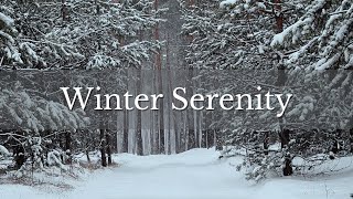 Cozy Winter Scenes & Soft Music for Productivity & Focus screenshot 2