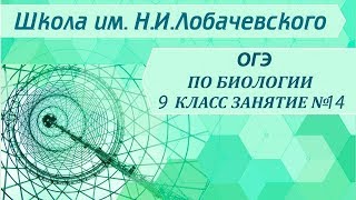 ОГЭ по биологии 9 класс. Занятие 14. Царство растения. Отдел мхи. ОГЭ по биологии 9 класс. Занятие 14. Царство растения. Отдел мхи.