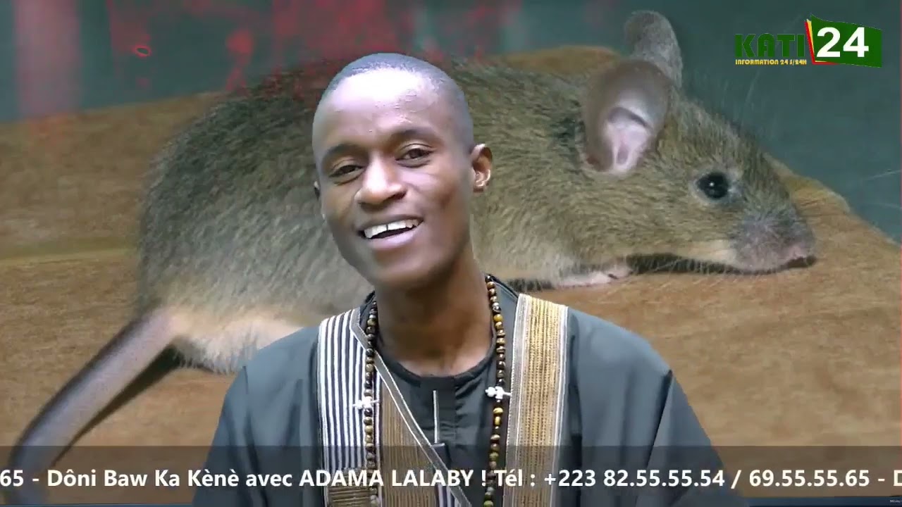 Adama lalaby #Faida sur le python 🐍 lapin