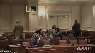 CAP Committee Session, 2/14/2023 #1