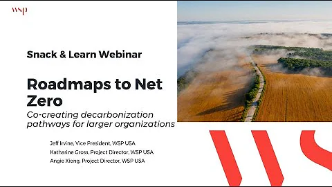 Roadmaps to Net Zero - Co-creating decarbonization pathways for large organizations