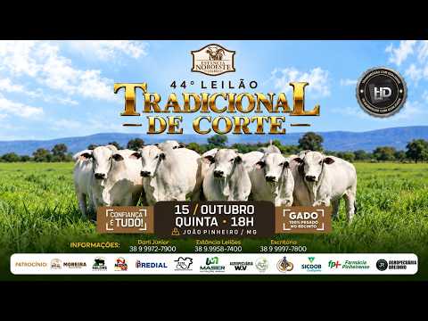 44º LEILÃO TRADICIONAL DE CORTE
