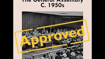 The History of Unpaid Internships at the United Nations