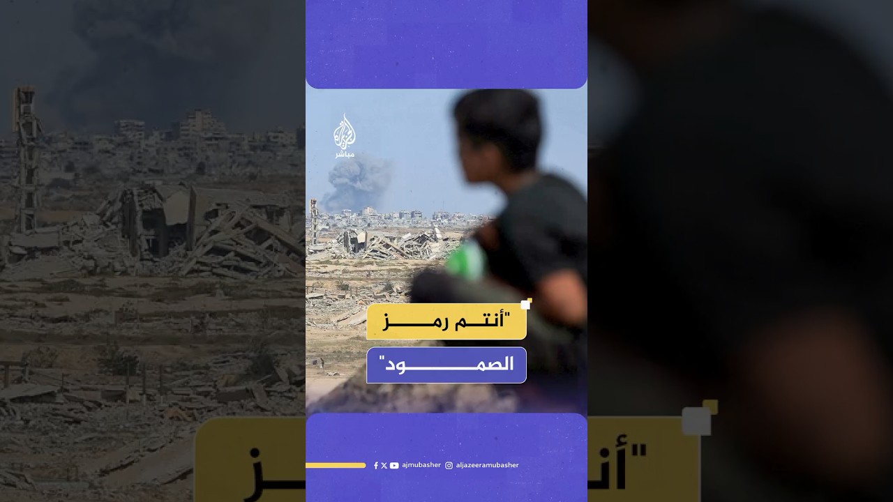 بعد عامين من حـ ـرب الإبـ ـادة على القطاع.. جمهور الجزيرة مباشر يوجه رسائله لأهل غـ ـزة