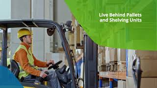 Warehouse Pest Control