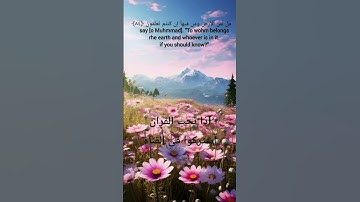 سوره #المؤمنون#محمد #اكسبلور #القران