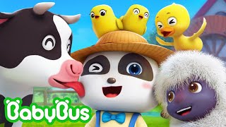 Seu MacDonald Tinha Um Sítio | Canção de Fazenda | Bebê Panda | Músicas Infantis 🐼 por BabyBus