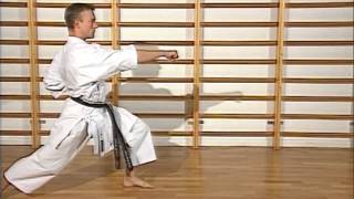 Karaté - cours 5 : kumite et kihon