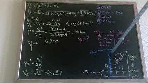 Phys&221 Flea Problem Q-2.23