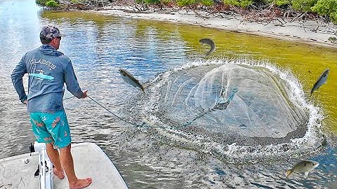 I Caught the Best Eating Fish Ever in a *HUGE NET* (How to Catch Clean & Cook)
