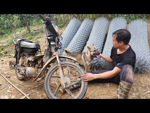 Video Survival instinct, wilderness alone, Jhony prepares... - youtube
