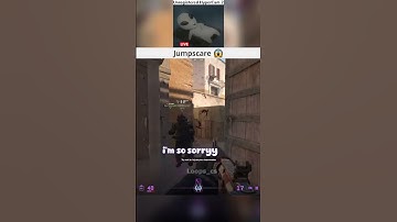 Jumpscare 😱  #csgo #cs2 #gaming #wtfcsgo #counterstrike2 #counterstrike #memes #cs2memes