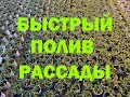 БЫСТРЫЙ ПОЛИВ РАССАДЫ