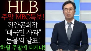 🔥[HLB 에이치엘비] 주말 MBC특보! 진양곤-FDA국장 눈물의 기자회견 하필 주말에 터지네 #HLB #HLB주가 #HLB대응 #HLB목표 #HLB대응 #hlb주가전망