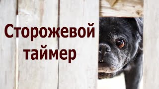 AVR 32# Сторожевой таймер - WatchDog.