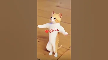 اغنية علاوي واوي قطط للاطفال العاب بزونه 