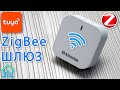 ШЛЮЗ ZIGBEE ДЛЯ TUYA ЭКОСИСТЕМЫ УМНОГО ДОМА ОБЗОР УСТРОЙСТВА ALFAWISE И ПОДКЛЧЮЕНИЯ