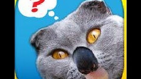 1 Pic Combo - Whats the thing? Level 5 Answer