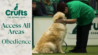 Access All Areas: Obedience | Crufts 2024