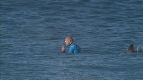 Surfer Fights Off Shark During Competition