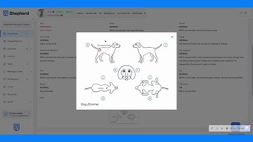 Discover Shepherd: The Leading Cloud-Based Veterinary Software in the U.S. | 5-Minute Overview