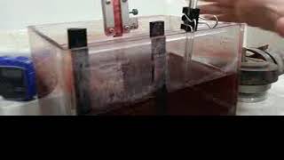 CEI 111 Exp 2 Surface tension