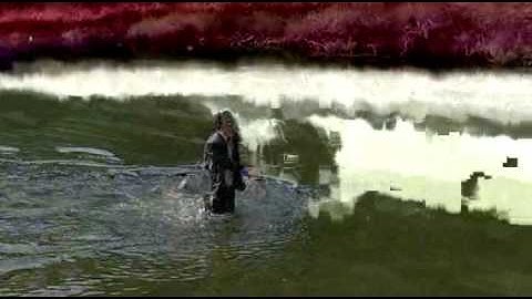 P Frame Duplication - 03