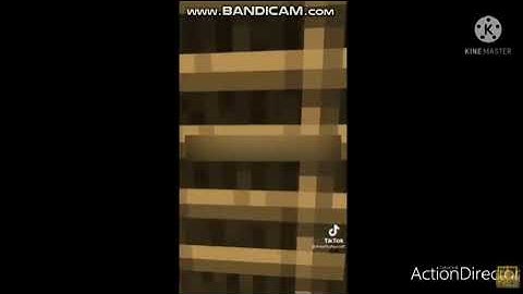 Minecraft Voice Gets Interrupted But It Gets Interrupted Back 2nd Add Round 3