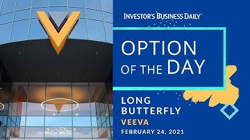Option Trade For Veeva Stock: Taking Advantage Of High Implied Volatility
