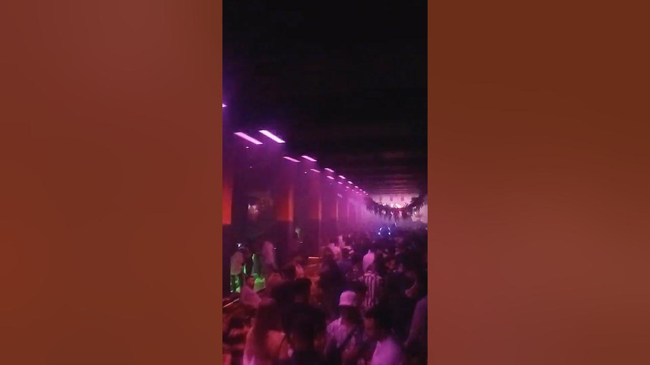 Toybox This is Bambu YouTube