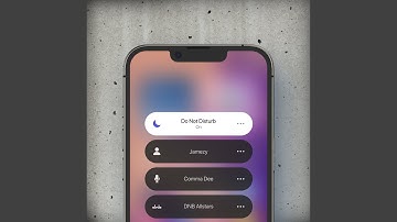 Do Not Disturb