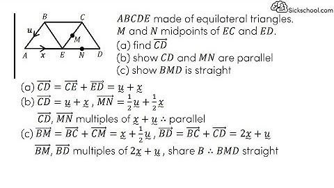 Parallel and straight line vectors