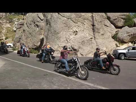 Needles highway