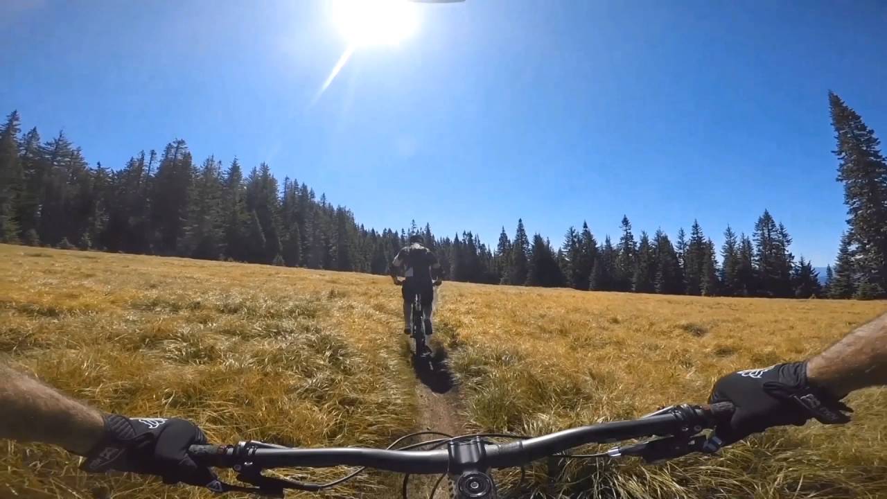 oak openings mountain bike trail