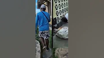 Kindly Watch This Video Music Fypシ Viral Lifeisbutadream Slumlife Exposé Shorts Explore Fyp 