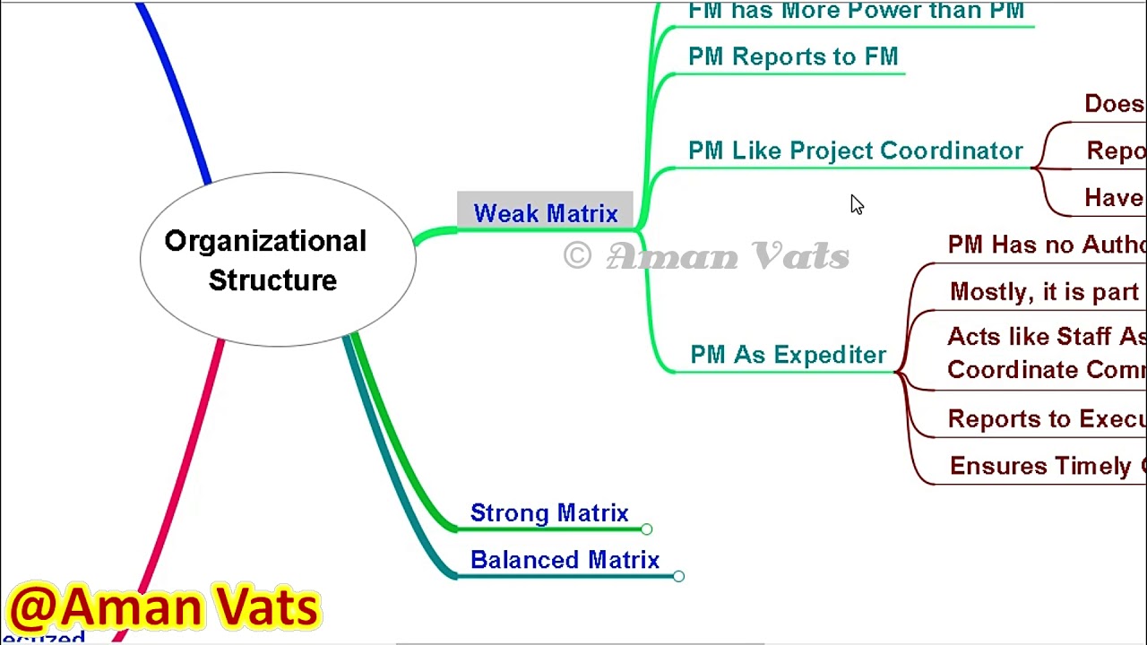 Chipotle Organizational Structure Chart