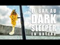 Pche du bar en bateau avec le dark sleeper de megabass