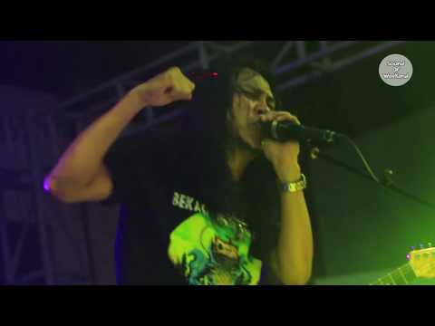 NAVICULA LIVE PERFORMANCE