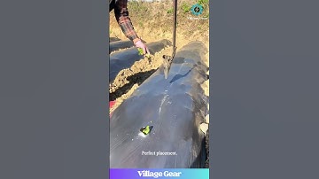 This Seedling Transplanter is a GAME CHANGER! #farming #tools #innovation #satisfying