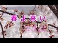 春よ来い|歌詞付き|春よ来い 早く来い