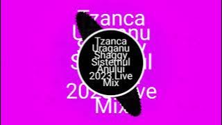 Tzanca Uraganu❌Shaggy 👉👉Sistemul Anului 2025 Live Mix👈👈