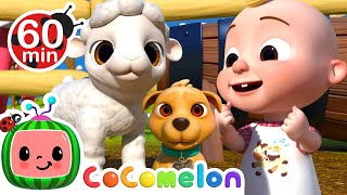 Old MacDonald with Cute Baby Animals | CoComelon Nursery Rhymes | Moonbug Kids After School