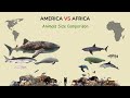 AMERICA vs AFRICA - Animals Size Comparison with Scientific Names