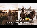 3 tage buschabenteuer simbabwe  