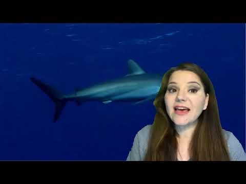 Video: ¿Los tiburones tienen un esqueleto mineralizado?